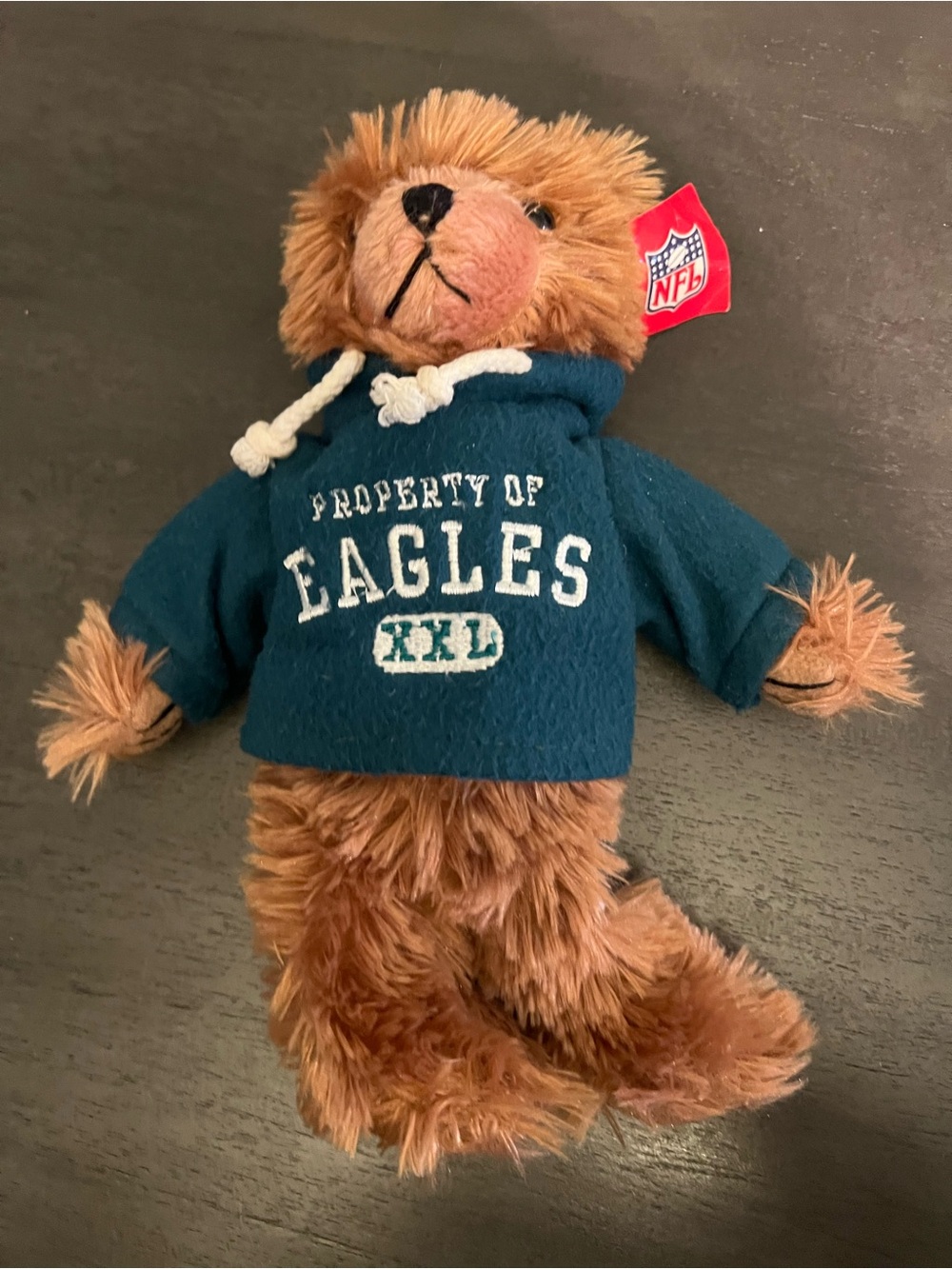 NFL Plush Bear in Teal Eagles Hoodie
